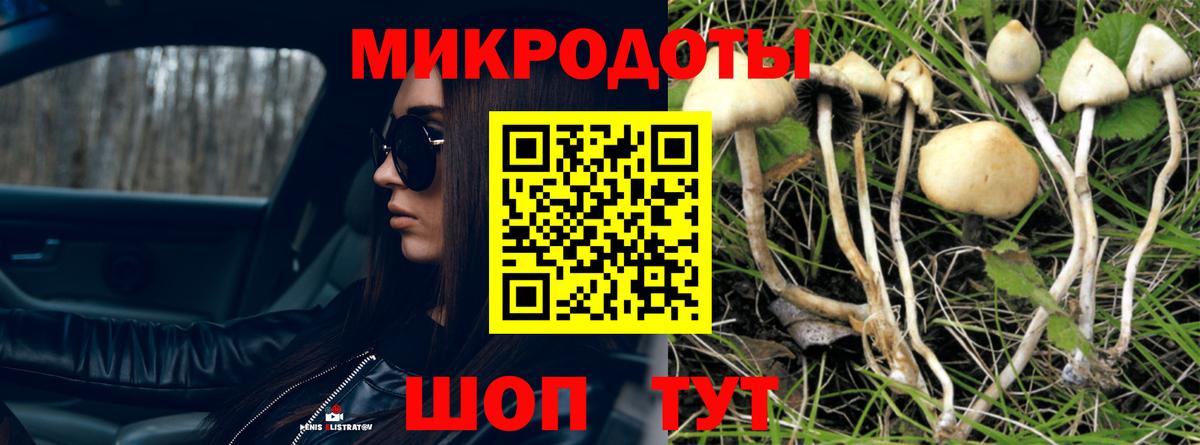 Псилоцибиновые грибы мухоморы Осинники